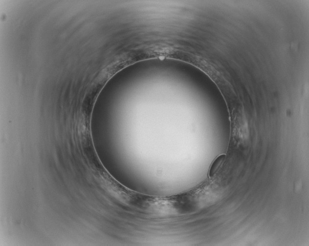 X0000065240518200602171427