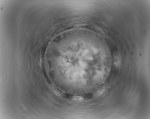 X0000065240519200602171427