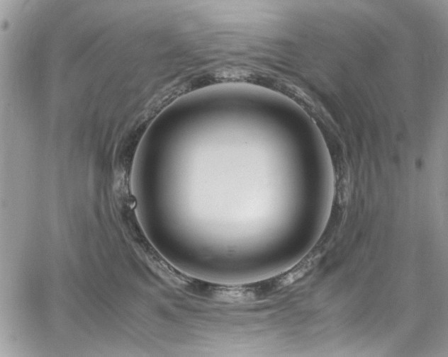 X0000065240521200602171427