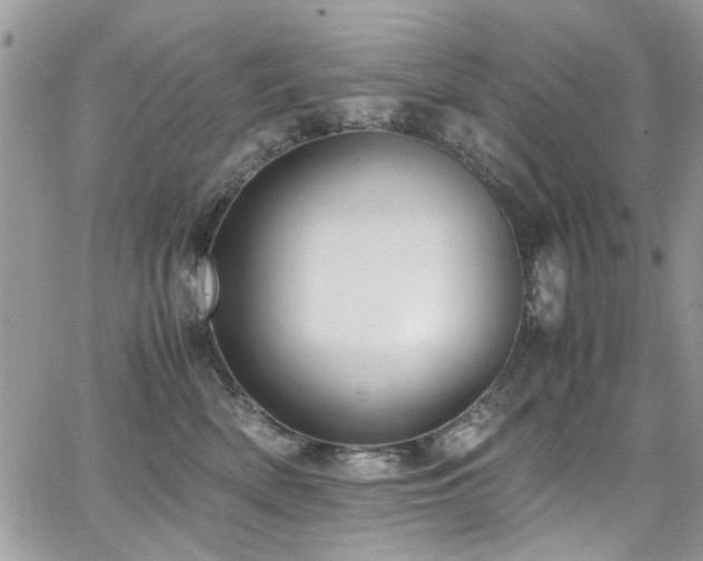 X0000065240522200602171427