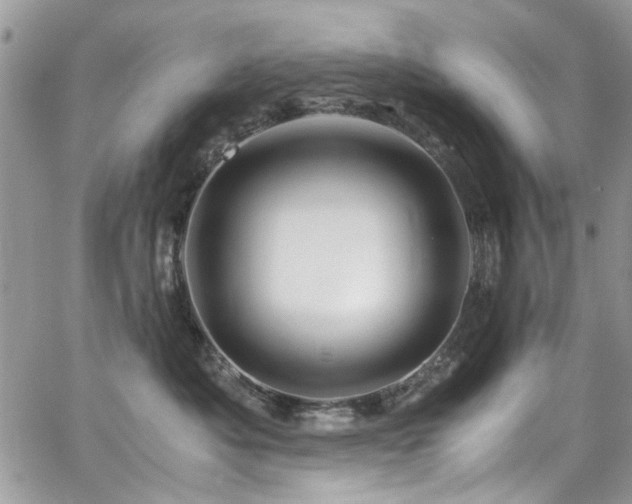 X0000065240525200602171427