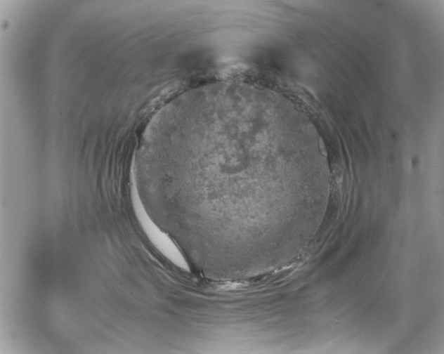 X0000065240527200602171427