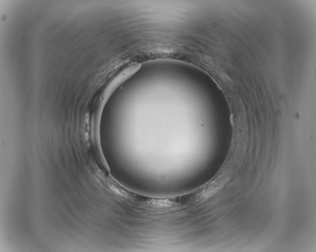 X0000065240528200602171427