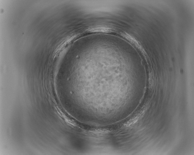 X0000065240529200602171426