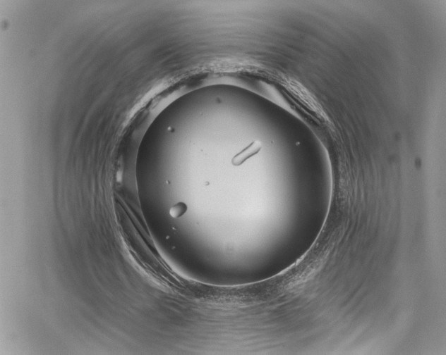 X0000065240530200602171426