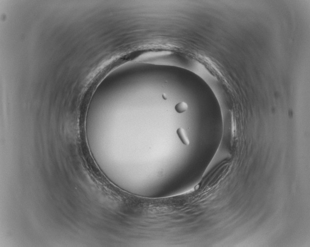 X0000065240531200602171426