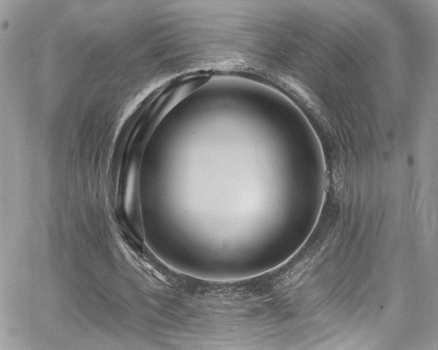 X0000065240532200602171426