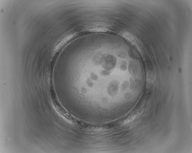 X0000065240533200602171426