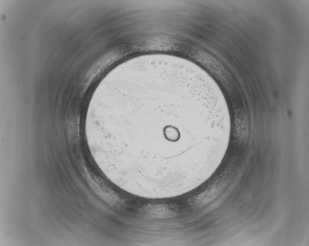 X0000065240534200602171426