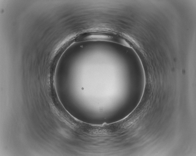 X0000065240535200602171426