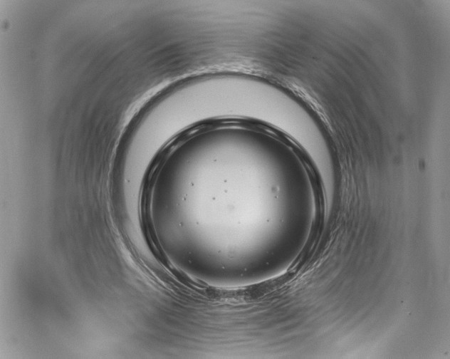 X0000065240536200602171426