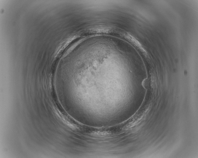 X0000065240537200602171426