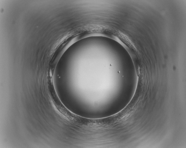 X0000065240538200602171426