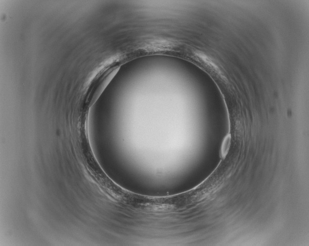 X0000065240539200602171426