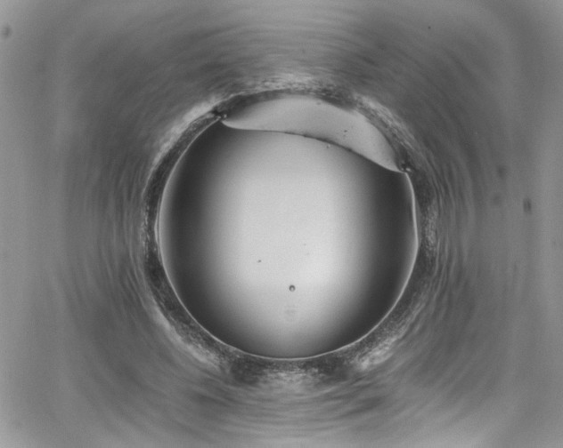 X0000065240540200602171426