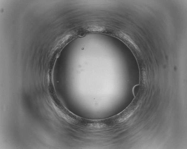 X0000065240541200602171426