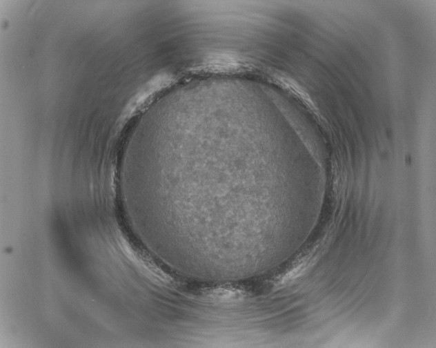 X0000065240542200602171426