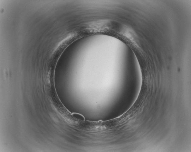 X0000065240543200602171426