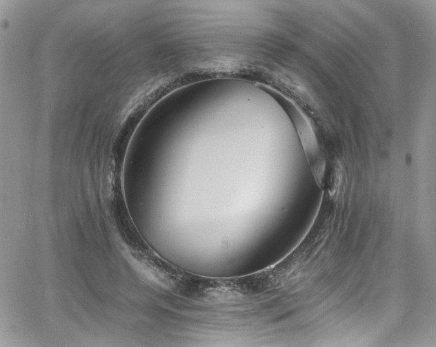 X0000065240544200602171426