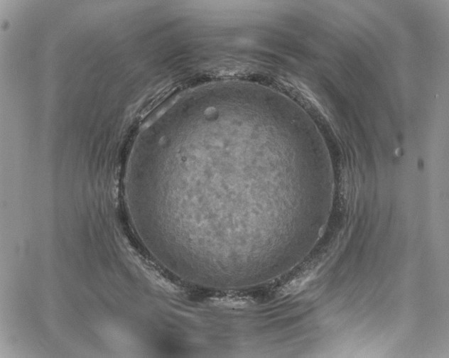 X0000065240545200602171427