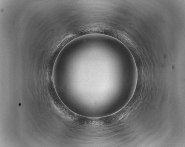 X0000065240546200602171427