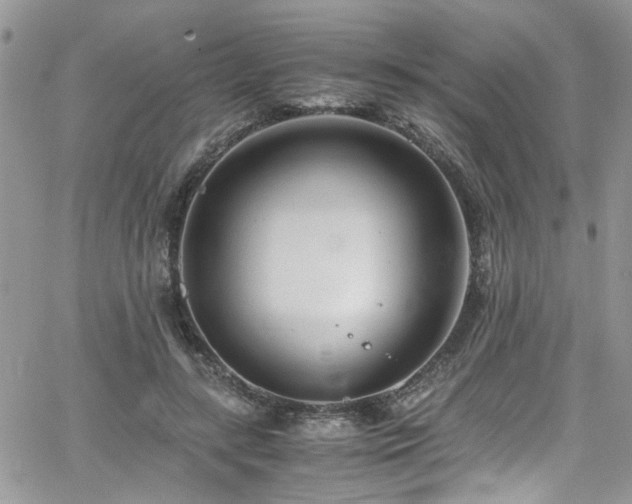 X0000065240547200602171427