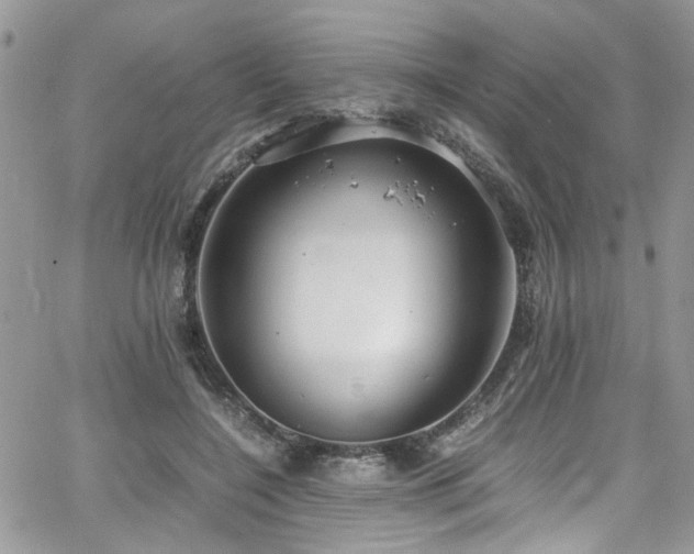 X0000065240548200602171427