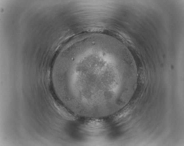 X0000065240550200602171427