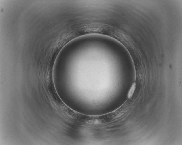 X0000065240551200602171427