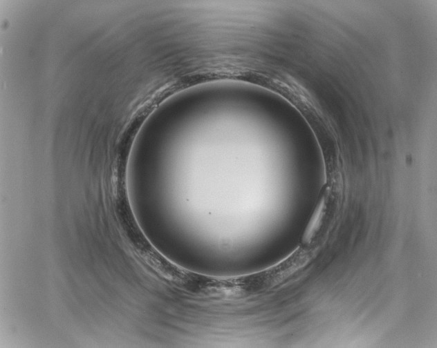 X0000065240552200602171427