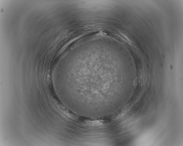 X0000065240553200602171427