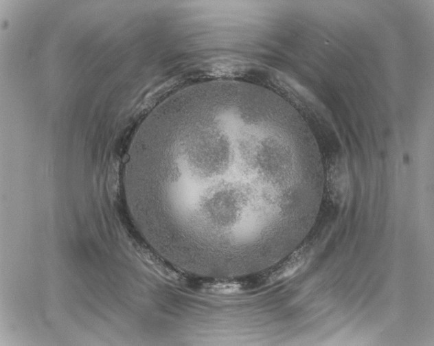 X0000065240554200602171427