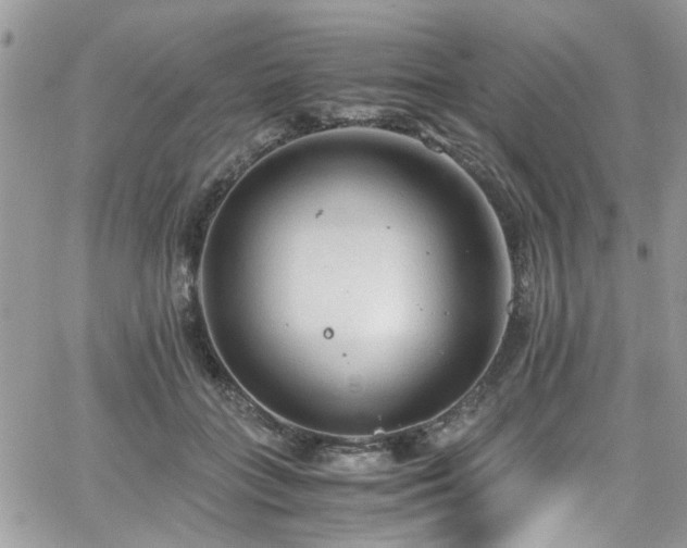 X0000065240555200602171427