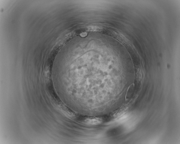 X0000065240557200602171427