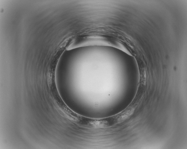 X0000065240558200602171427