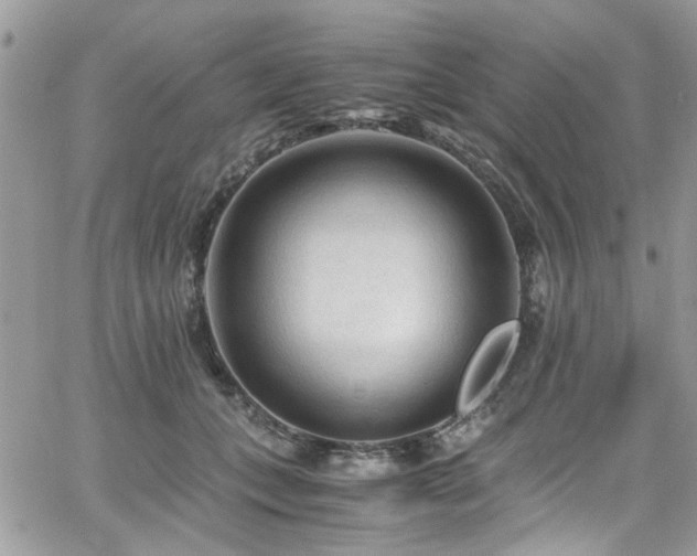 X0000065240559200602171427