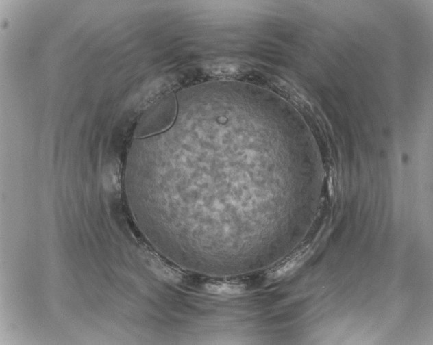 X0000065240561200602171427