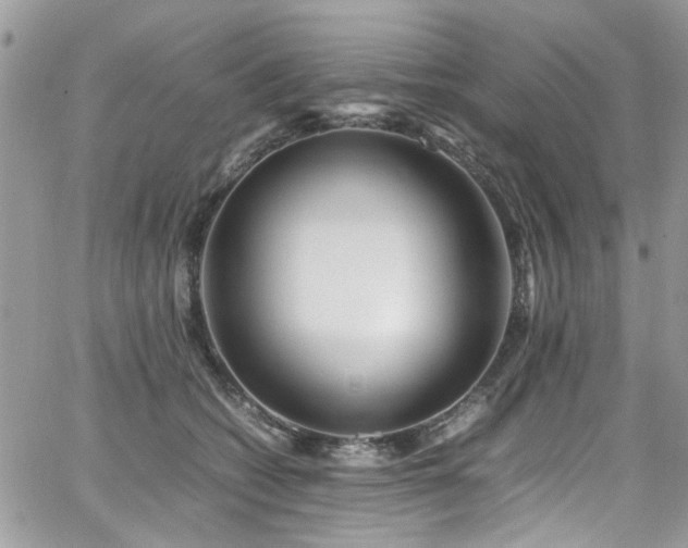 X0000065240562200602171427