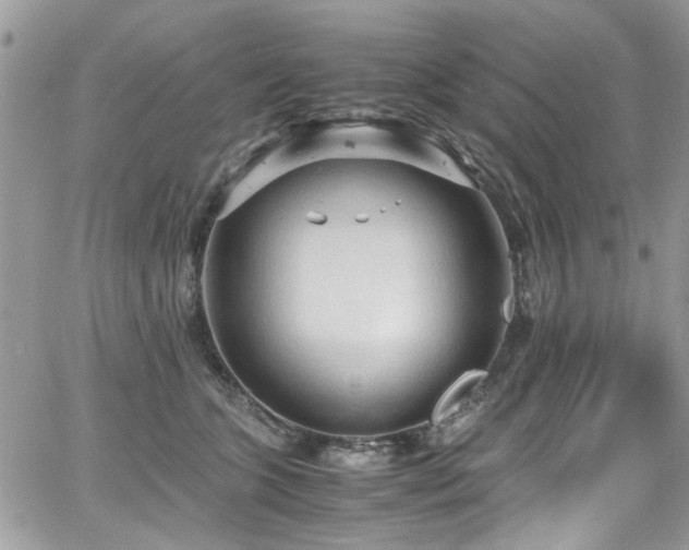 X0000065240563200602171427