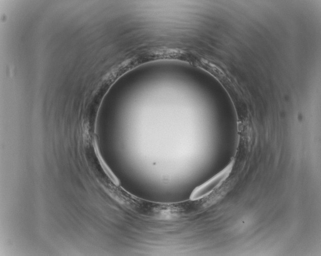 X0000065240564200602171427