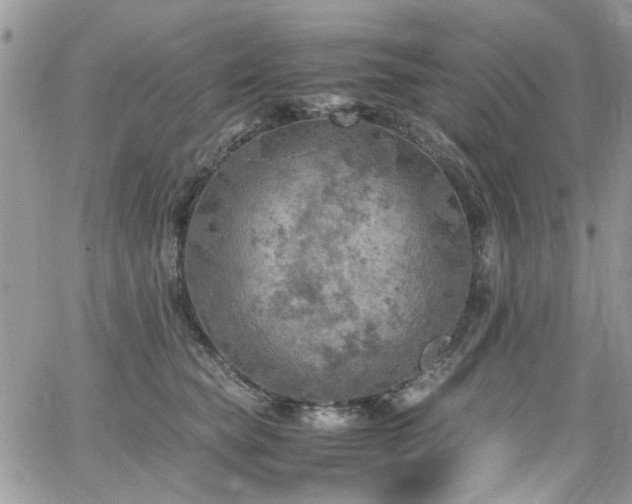 X0000065240565200602171427