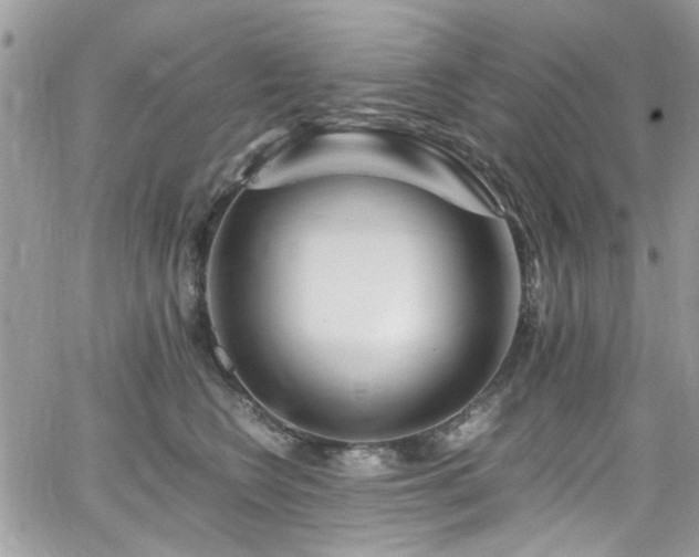 X0000065240566200602171427