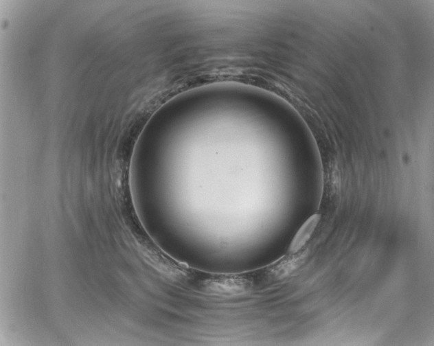 X0000065240567200602171427