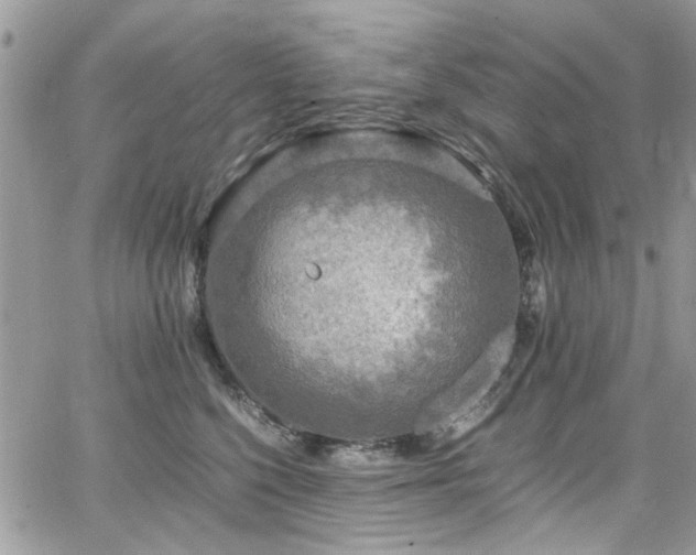 X0000065240568200602171427