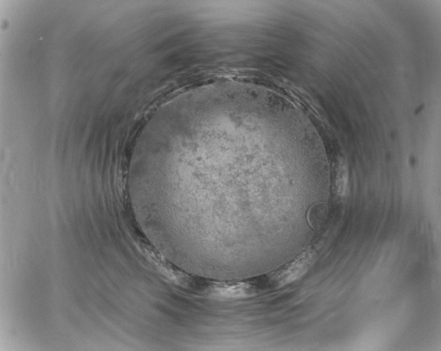 X0000065240569200602171427