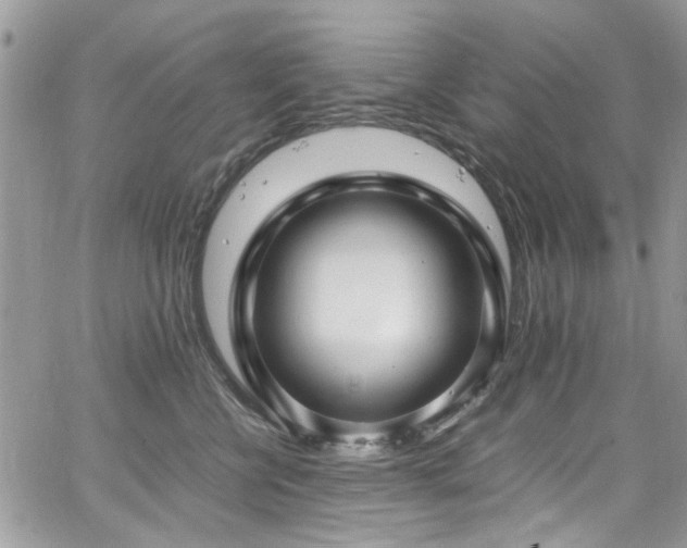 X0000065240570200602171427