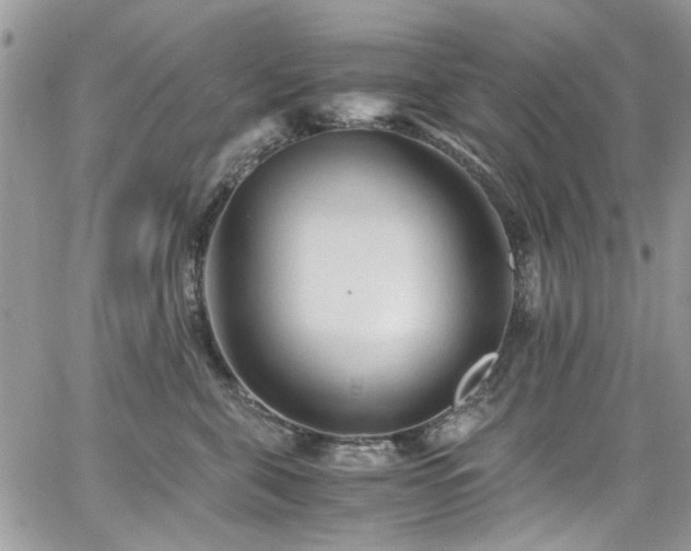 X0000065240571200602171427