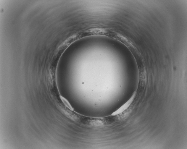 X0000065240572200602171427