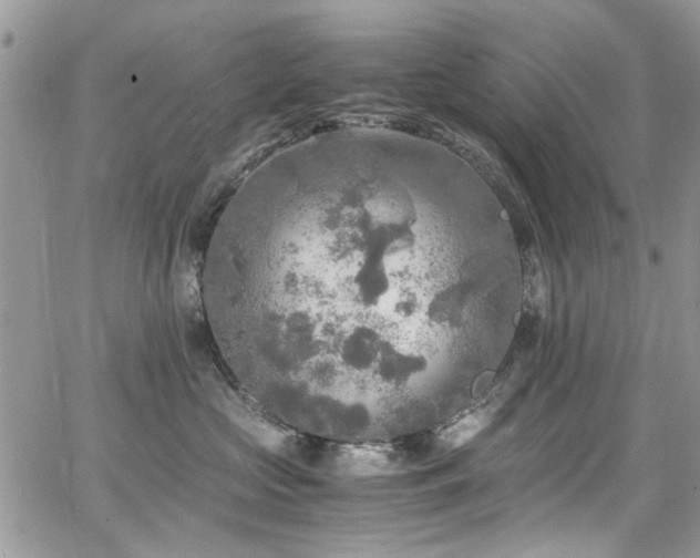 X0000065240573200602171427