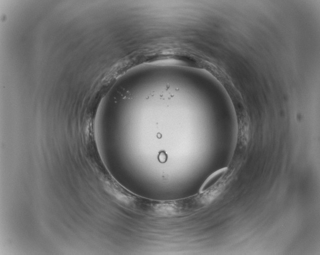 X0000065240574200602171427